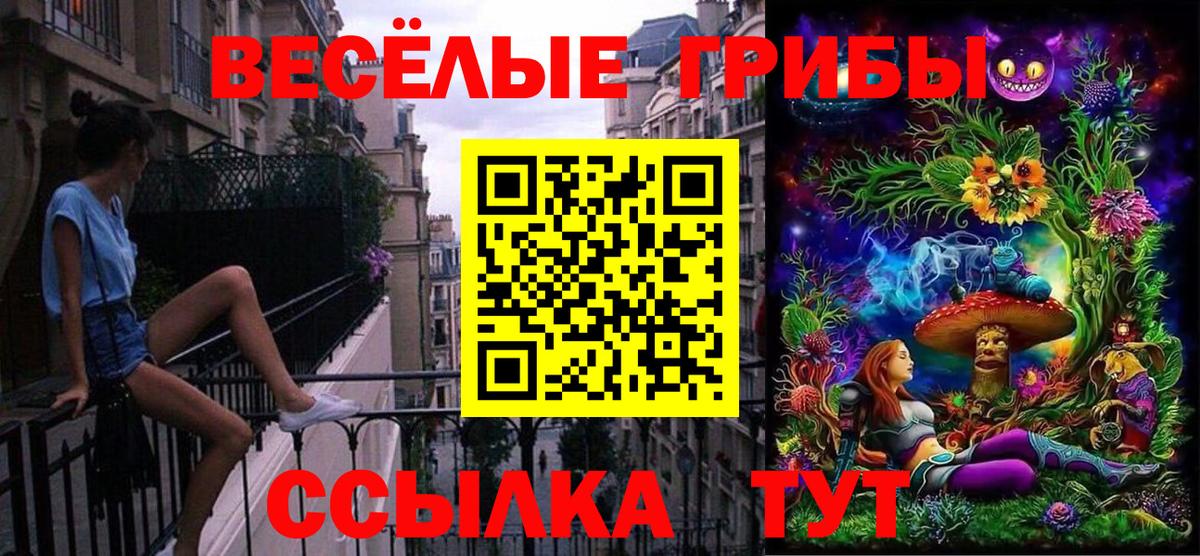 Галлюциногенные грибы Psilocybe  Вход с VPN  Гатчина  где продают   Псилоцибиновые грибы мицелий 