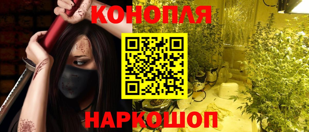 Бошки Шишки сатива Гатчина